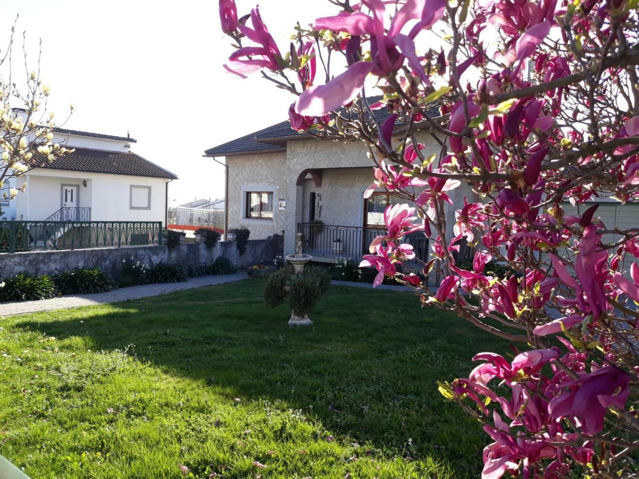 Cynda'S Home ヴィゼウ エクステリア 写真