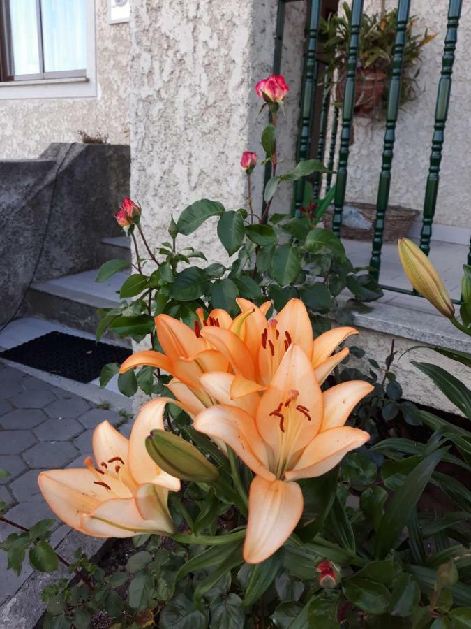 Cynda'S Home ヴィゼウ エクステリア 写真