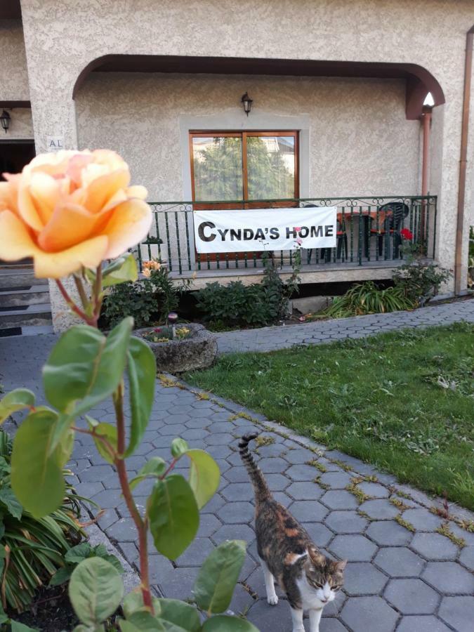 Cynda'S Home ヴィゼウ エクステリア 写真